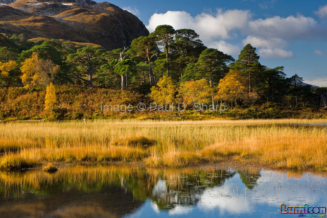 Loch Clair in Autumn Colour